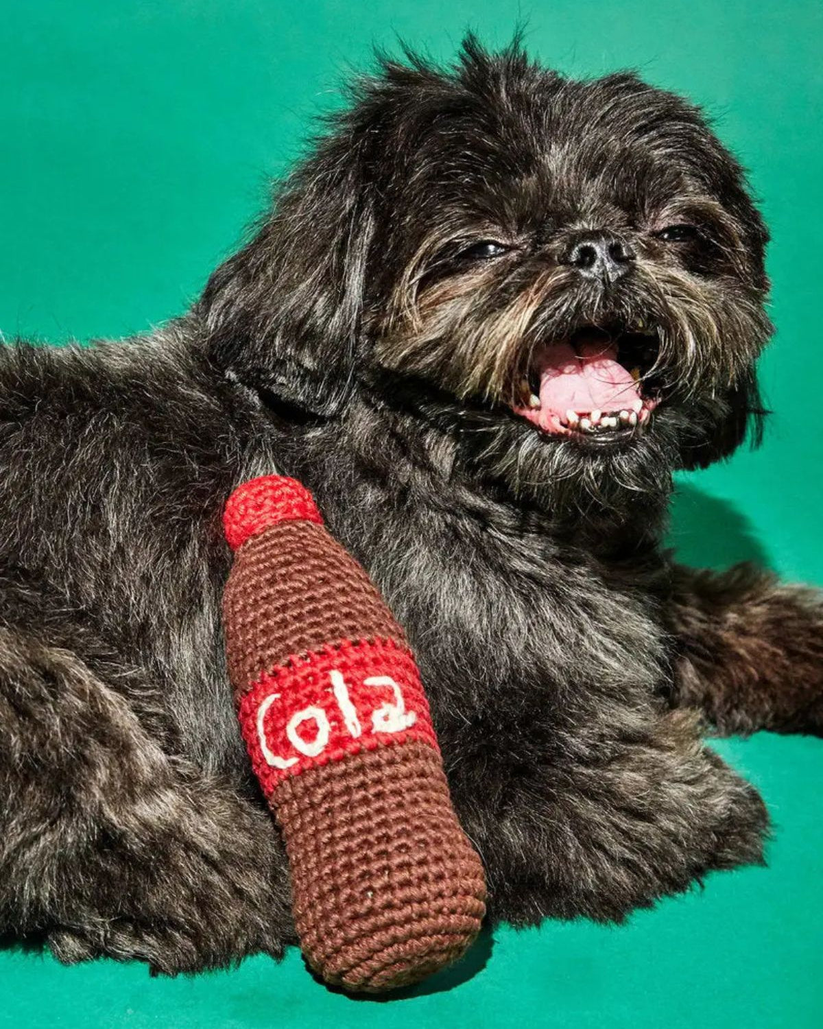 Dog playing with a Cola bottle-shaped toy on a green background