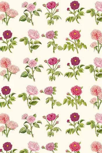 Sajou 20 Sewing Needles Booklet - Josephine's Roses