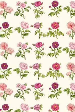 Sajou 20 Sewing Needles Booklet - Josephine's Roses