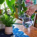 Person watering a potted plant with a clear glass watering can on a wooden table.