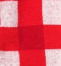 Homebody Gingham Shawl