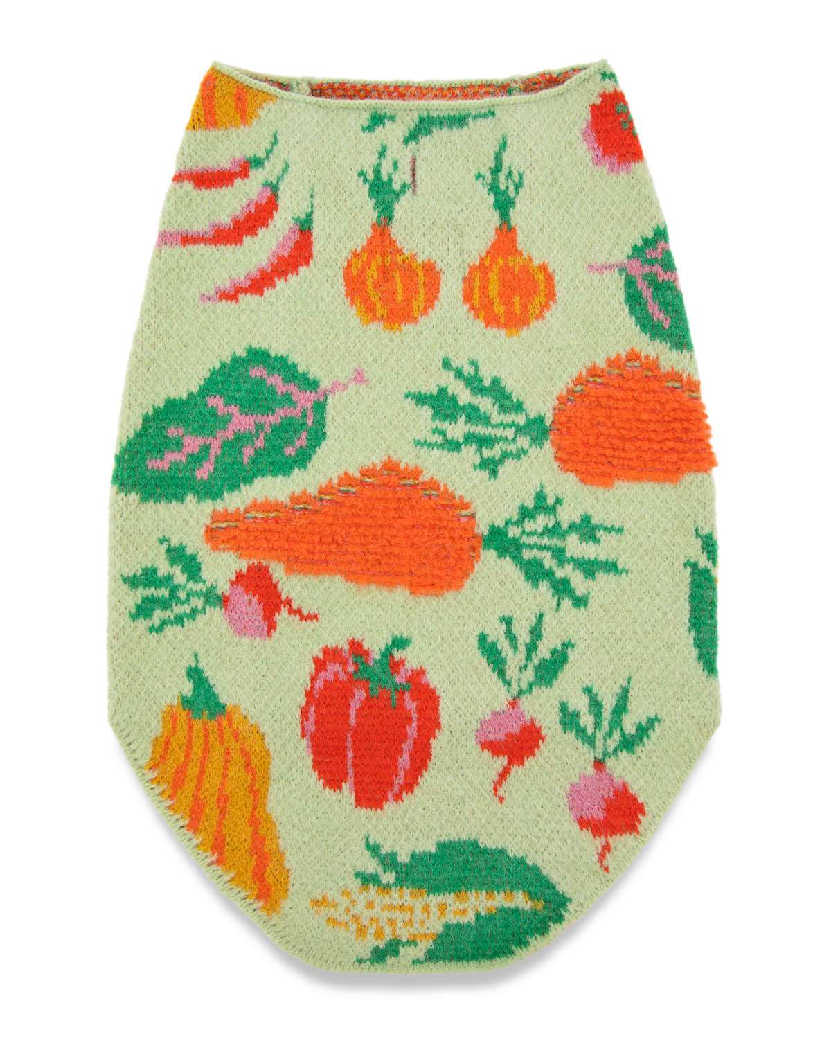 Pet sweater with vegetable pattern on a white background