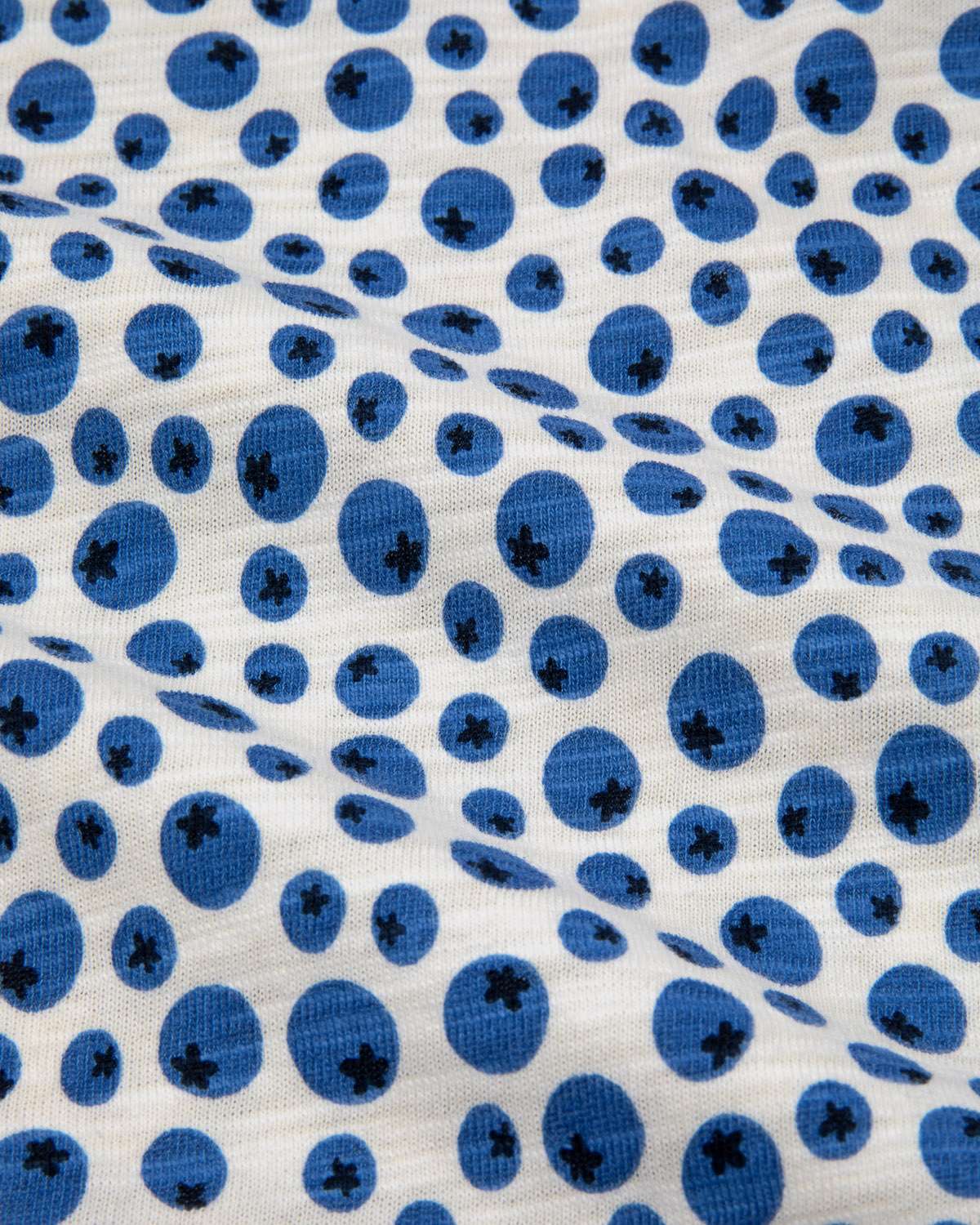 Pattern of blueberries on a white background