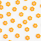 Pattern of small orange flowers on a white background