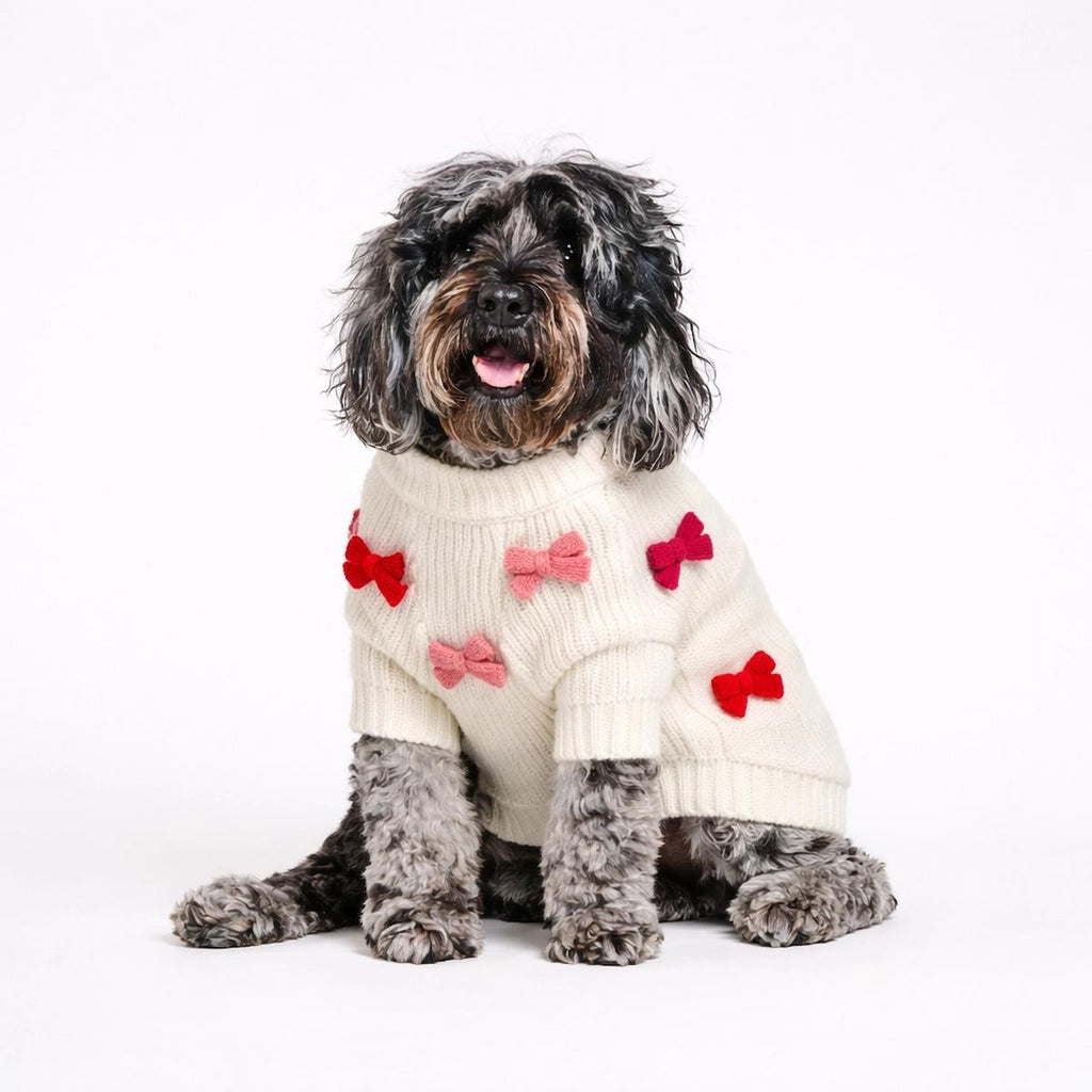 Dog wearing a white sweater with red and pink bow patterns on a white background