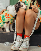 Person wearing a colorful sweater and white sneakers with a small dog in a matching outfit, sitting on steps.