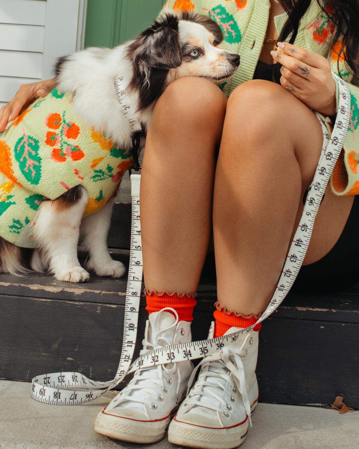 Person wearing a colorful sweater and white sneakers with a small dog in a matching outfit, sitting on steps.
