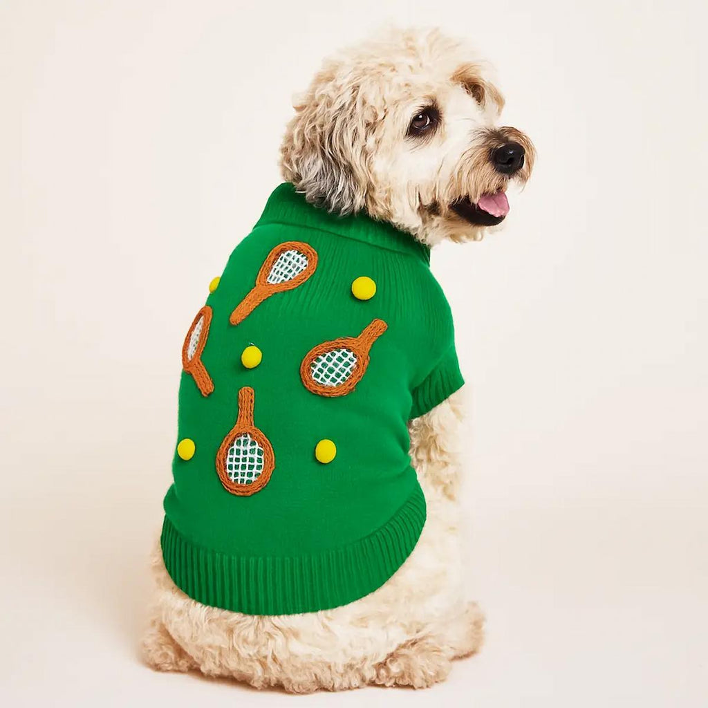 Dog wearing a green sweater with tennis racket and ball designs on a beige background