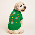 Dog wearing a green sweater with tennis racket and ball designs on a beige background