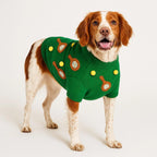 Dog wearing a green sweater with brown and yellow buttons on a white background