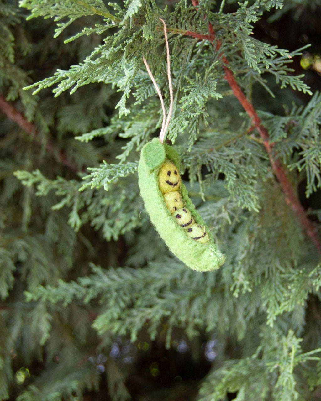Green peas in a pod Ornament on a branch of a tree