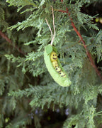 Green peas in a pod Ornament on a branch of a tree