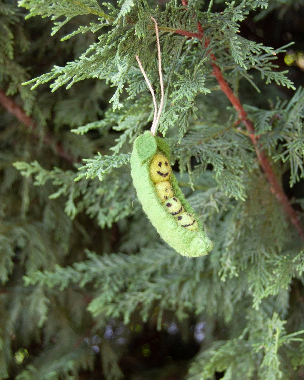 Green peas in a pod Ornament on a branch of a tree