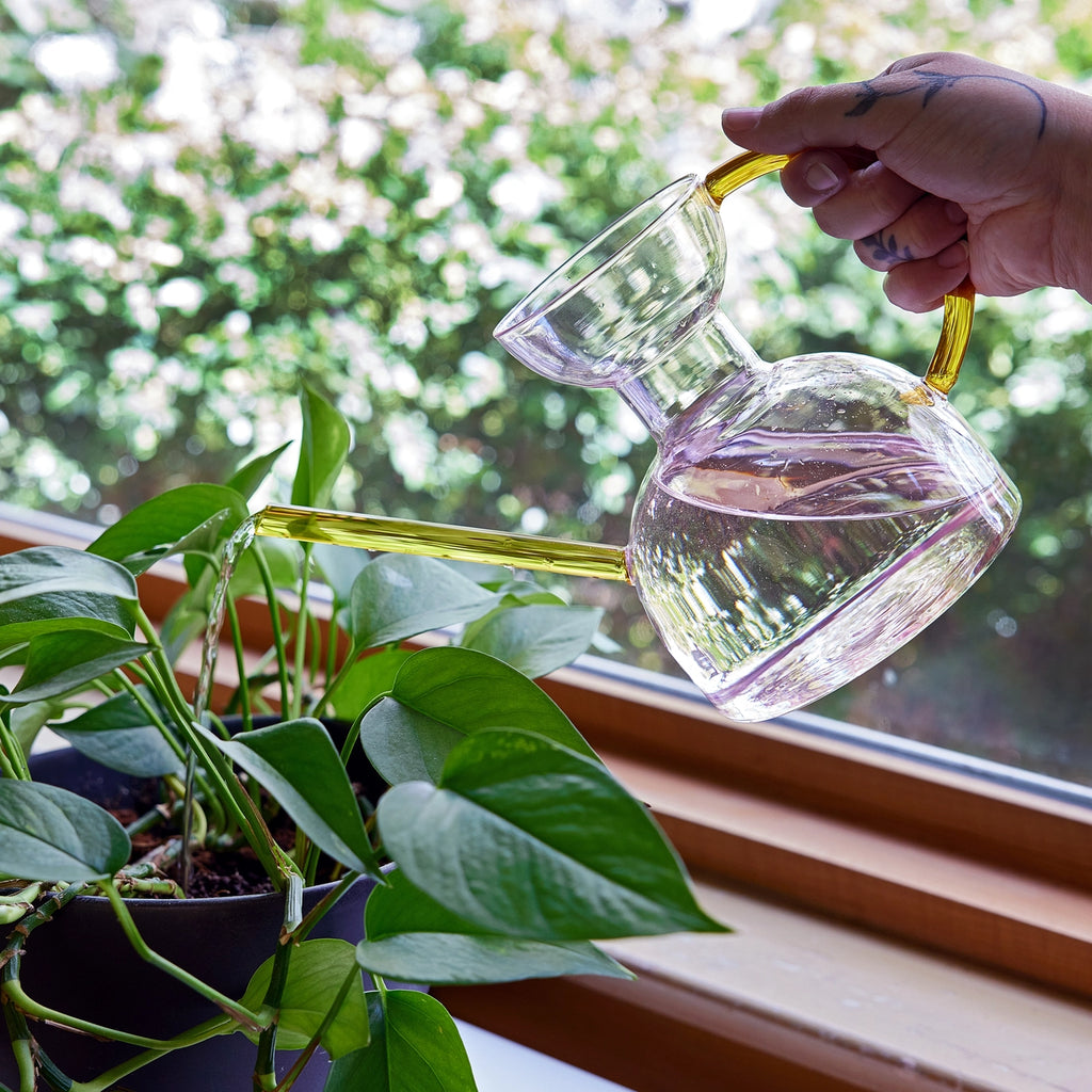 Person watering a plant with a clear glass watering can outdoors.