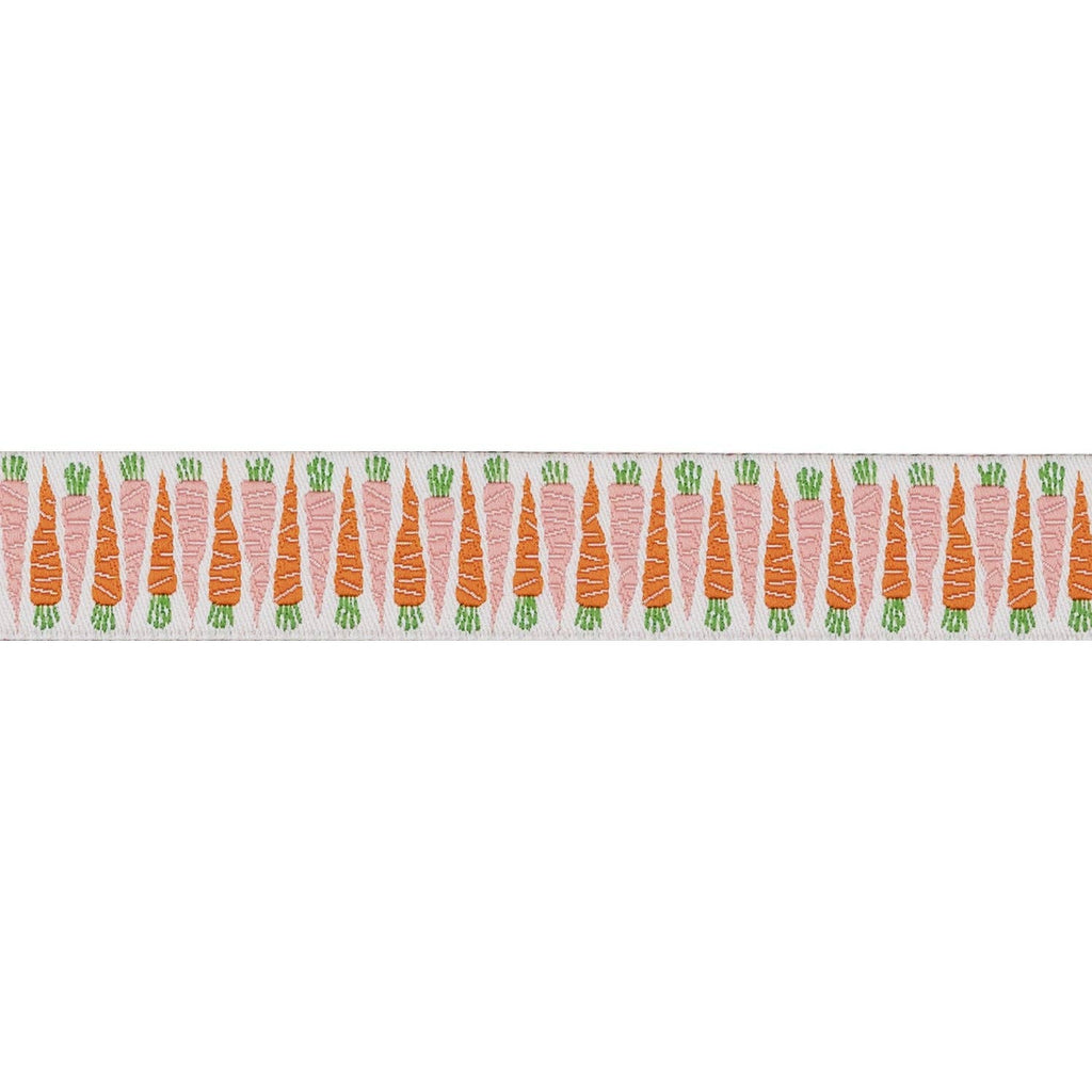 In the Vegetable Garden Carrot 7/8" Ribbon