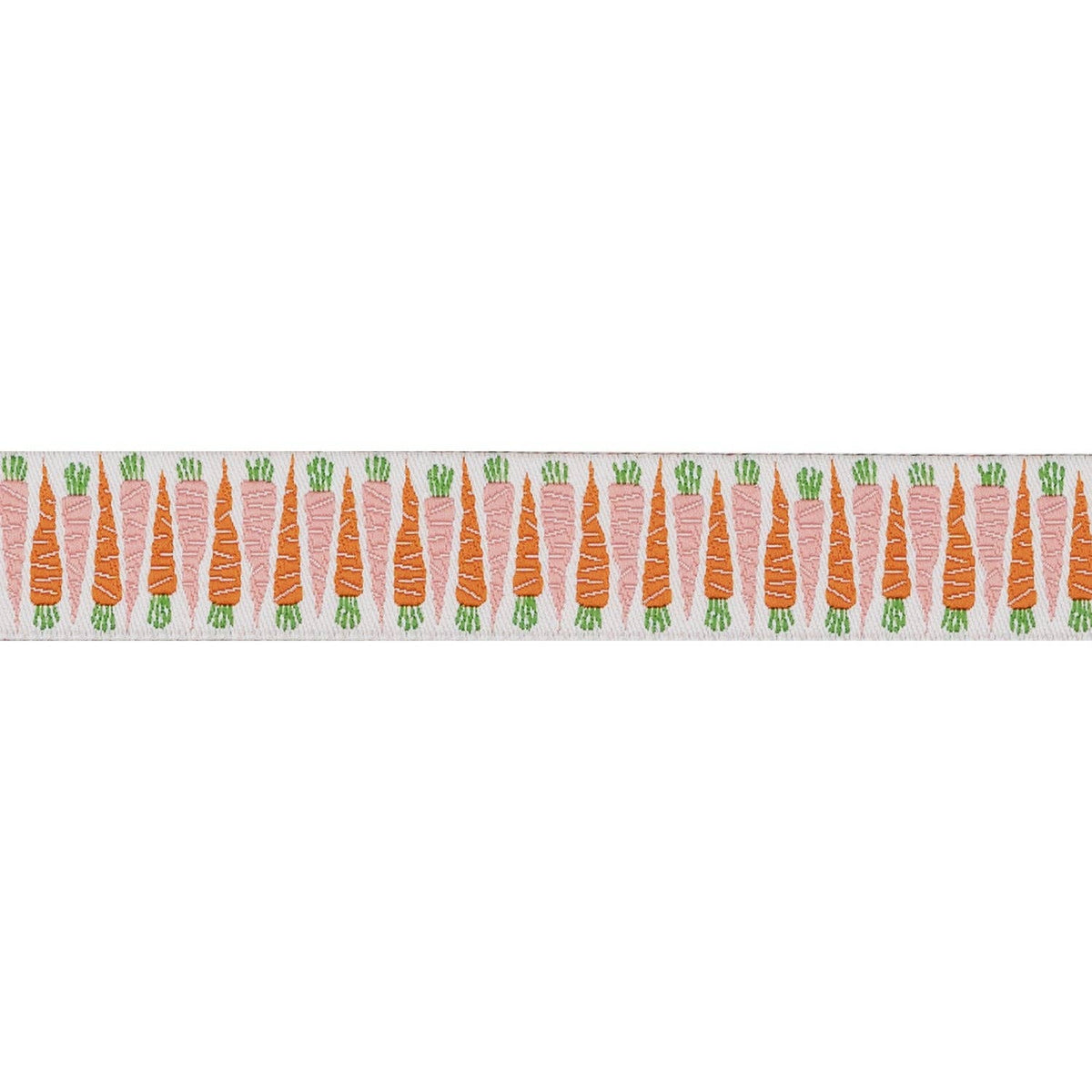 In the Vegetable Garden Carrot 7/8" Ribbon