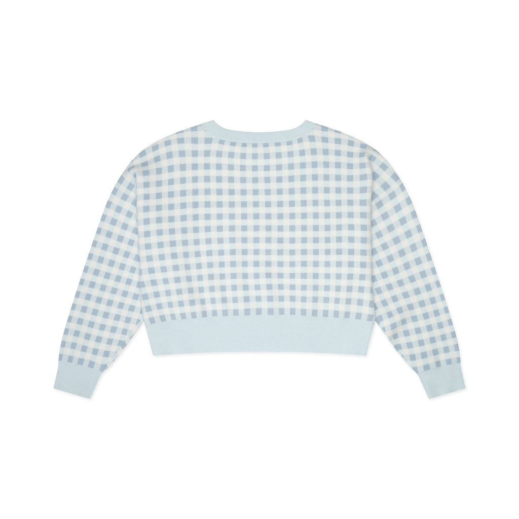Light blue and white gingham sweater on a white background