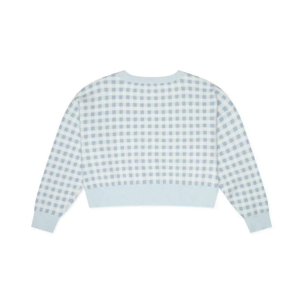Light blue and white gingham shirt on a white background