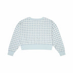 Light blue and white gingham shirt on a white background