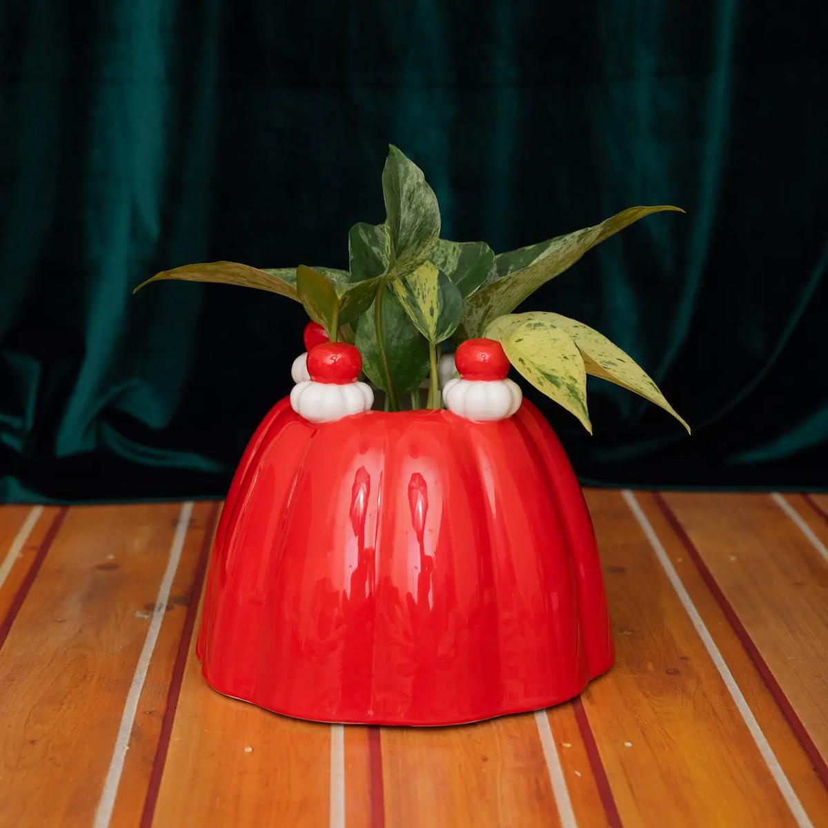 Red jelly mold planter with a plant on a wooden surface and dark green curtain background