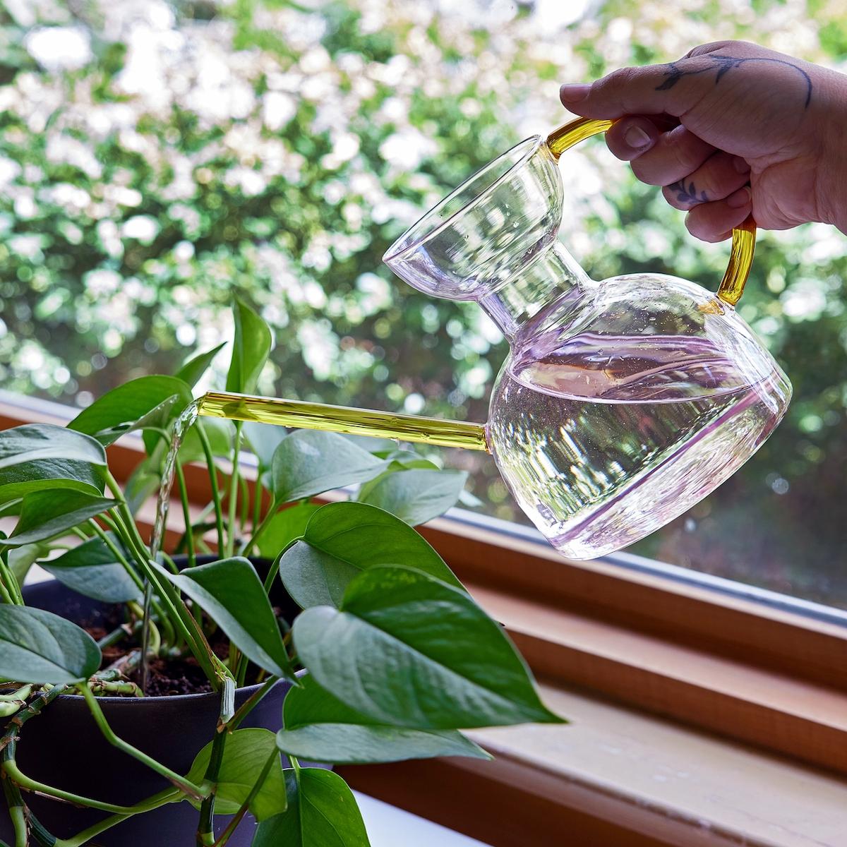 Person watering a plant with a clear glass watering can near a window with greenery outside.